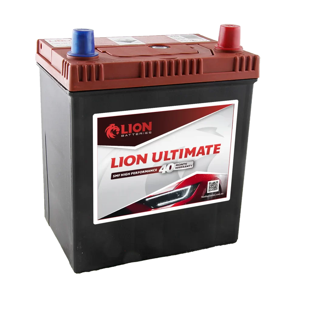 Lion Red 429