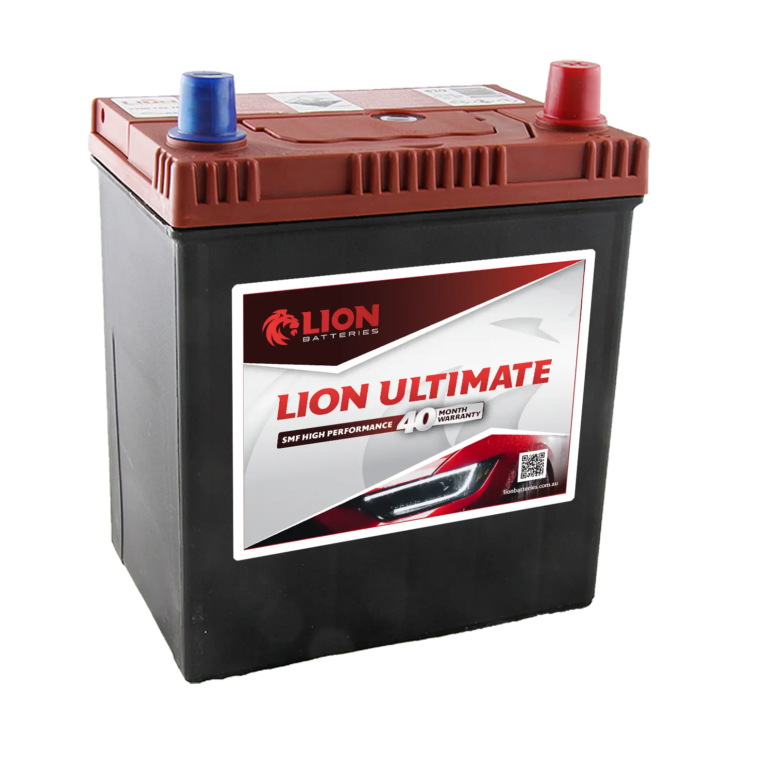 Lion Red 429