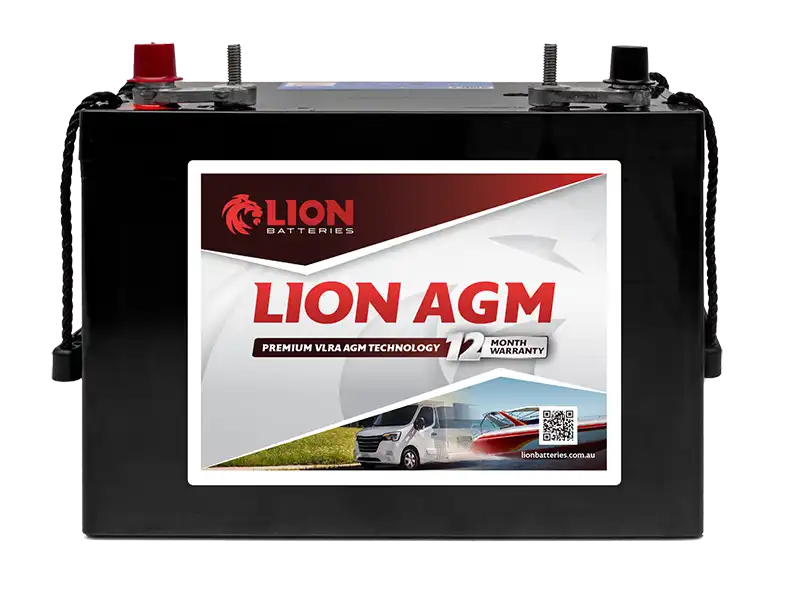 Lion AGM