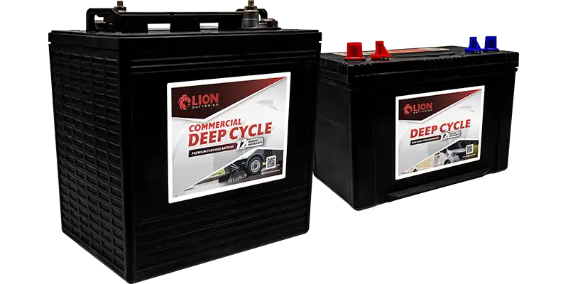 Lion Deep Cycle batteries