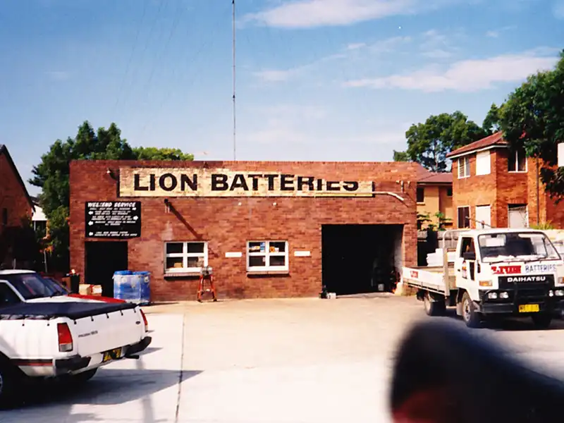 Lion Batteries