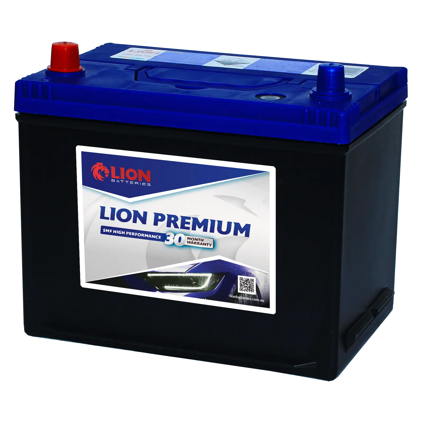 Lion Blue 364