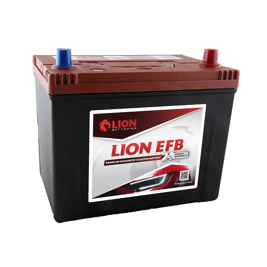 Lion 463EFB