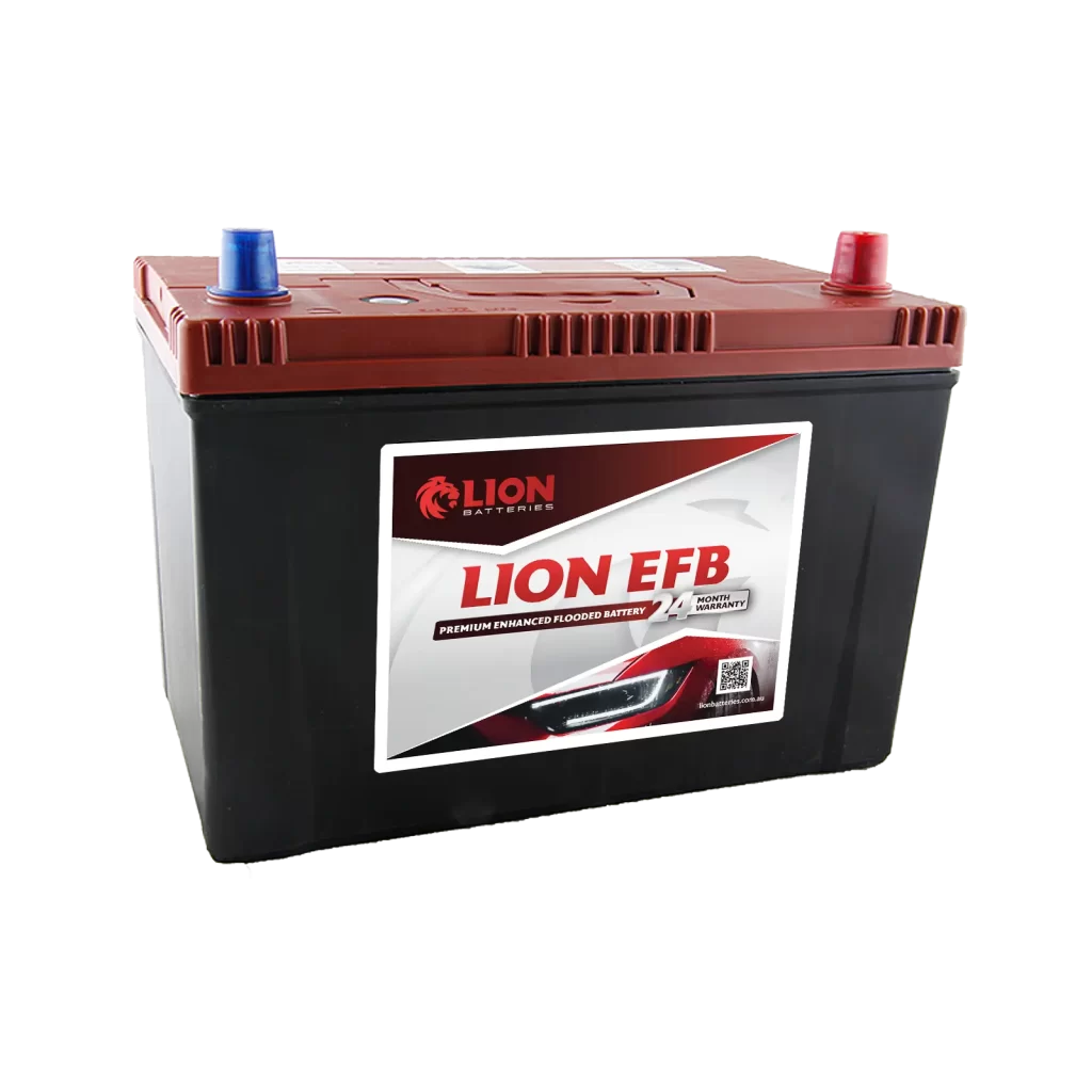 Lion 481EFB
