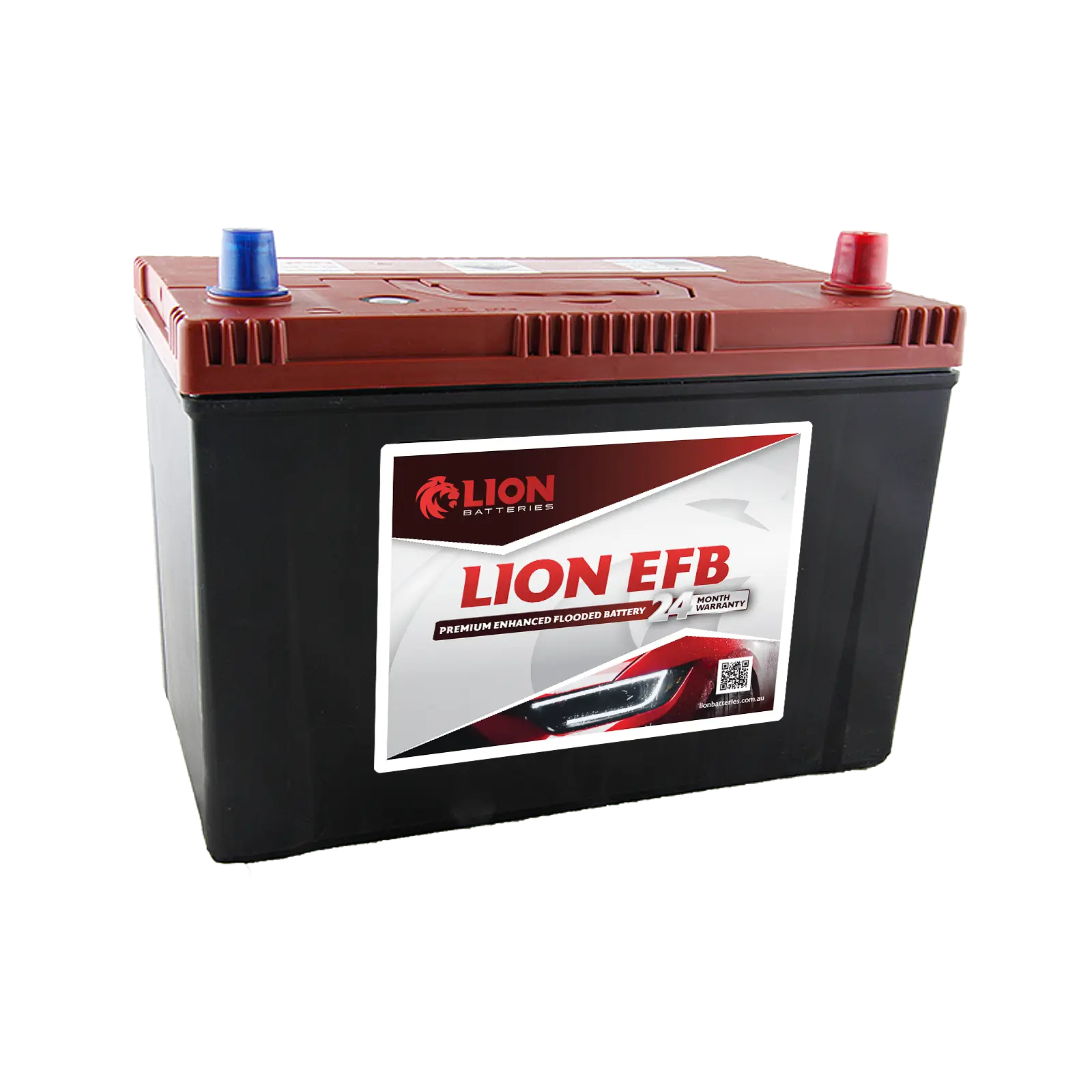 Lion 481EFB